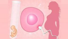 俄罗斯第三代试管婴儿选择移植囊胚有什么优势？
