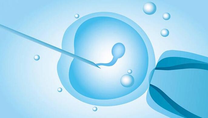 什么是胚胎植入前遗传学诊断PGD	