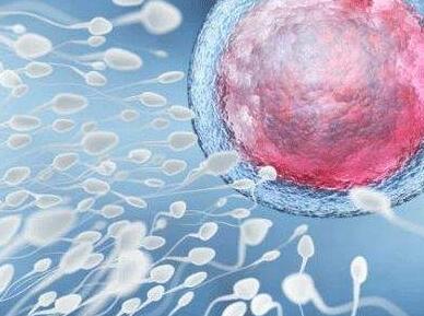 胚胎植入前遗传学诊断PGD的作用