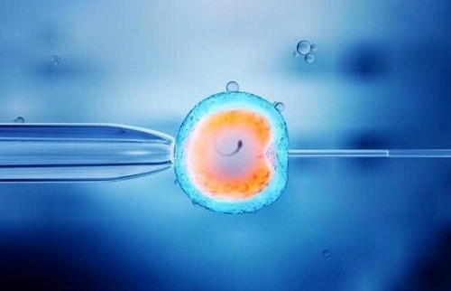 试管婴儿取卵后怎么做利于卵巢恢复？