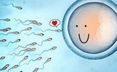 试管婴儿胚胎植入后多久着床？