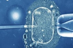 做试管婴儿不允许移植多个胚胎吗？