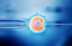 哪些行为有助于试管婴儿胚胎着床？