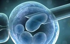 试管婴儿移植环节，中等胚胎能着床吗？