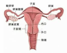 功能性子宫出血有什么症状？