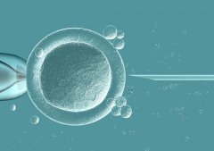 试管婴儿养囊过程中会损失胚胎吗？