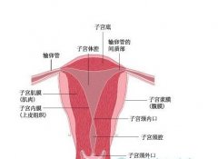 子宫癌早期症状