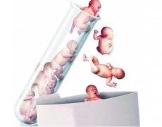 试管婴儿可以“定制”宝宝吗