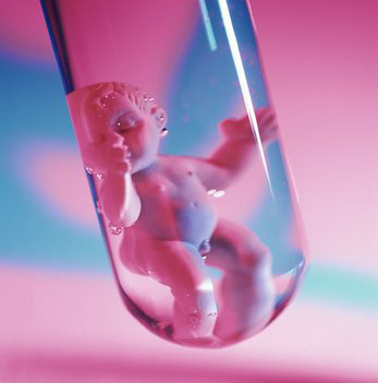 试管婴儿成功的关键是什么呢?