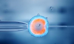 做试管婴儿胚胎着床失败的主要原因有哪些？