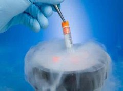 俄罗斯试管婴儿冷冻胚胎可以保存多久？冷冻胚胎移植成功率高吗？