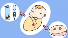 去俄罗斯试管婴儿促排卵期饮食怎么吃？